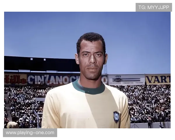 足球历史上的十大经典球星风采：回顾传奇人物的辉煌瞬间与伟大成就